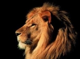 Ar5el