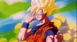 Goku aka Kakarot