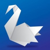Swan Team