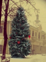 guzy91