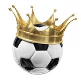 Sports Punter