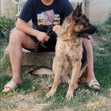 Mrkimanijak