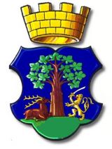 Chaslav