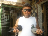 gulabar