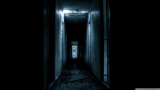 Hocu_Pare