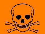 Sasalkc