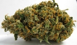 djape420