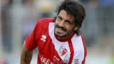 Gattusoo