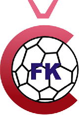 fk celik