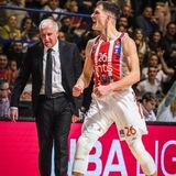 PaunCanavaro