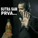 maja441