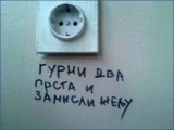 vegic