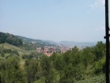 Srbovic