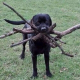 Vasko