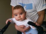 germo