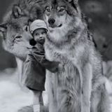 Wolf_tips