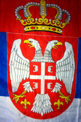 Czv18