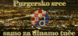 robica37
