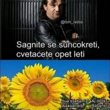 Boljevicc