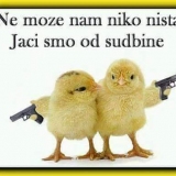 Rasoj188