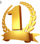 Pleyer No1
