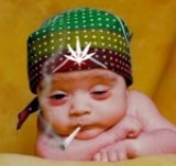 Guru