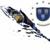 dravlic