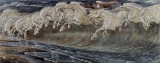 Jerome7