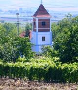 PaljoSrceMoje