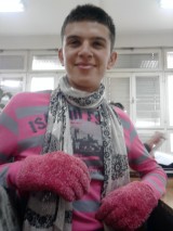 Lipicaner