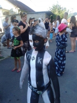 Volimpartizan
