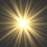 Rays