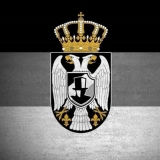 cvetkovic11