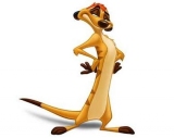 Timon