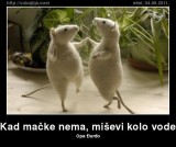 nevenensy