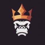 gorilla12