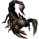 stinger