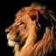Ar5el