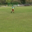 Bradau1991