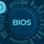 bios