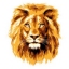 marcco