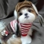 kisko2