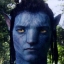 acajoka