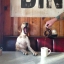 henri_007