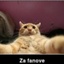 Nenad2233