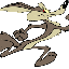 karabatak