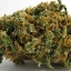 djape420