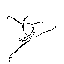Balerina