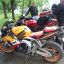 marre984