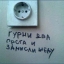 vegic
